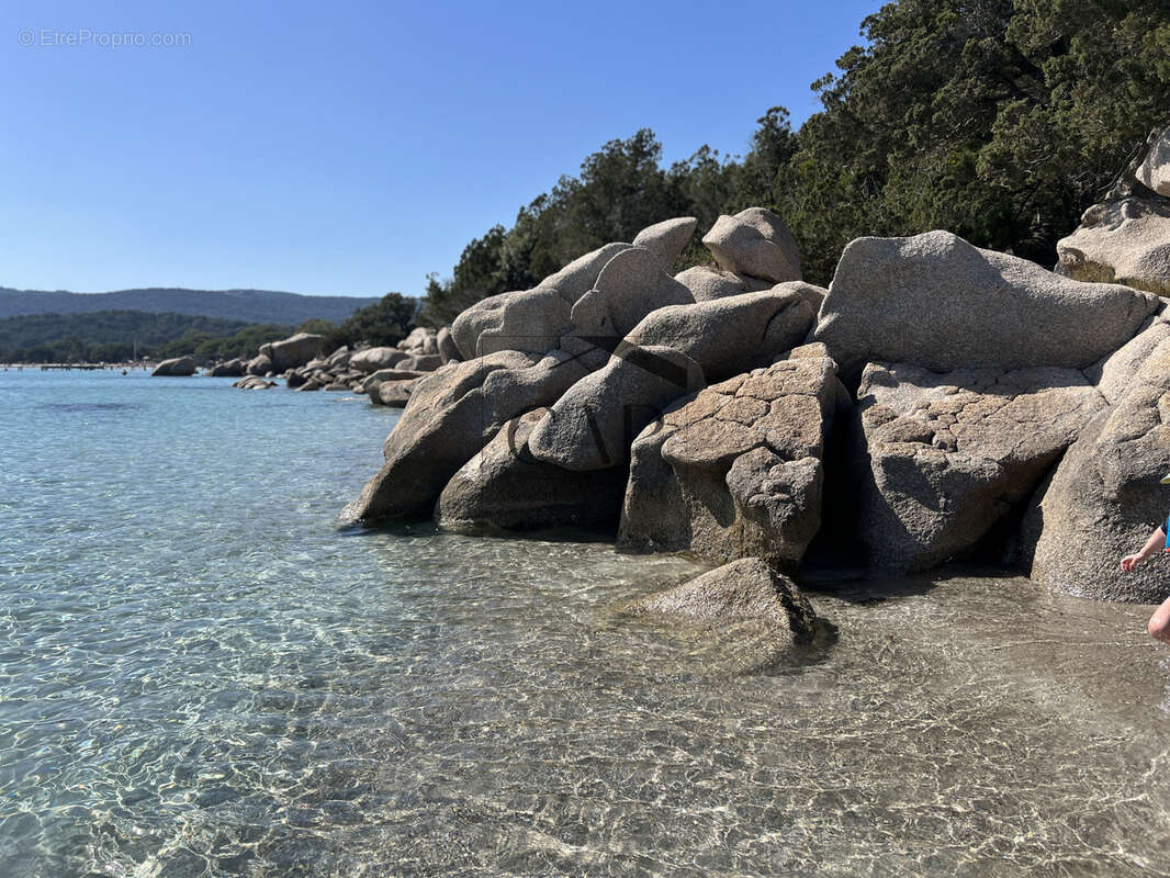 Élégante villa neuve, proche Saint-Cyprien, entre mer et macquis - photo 6