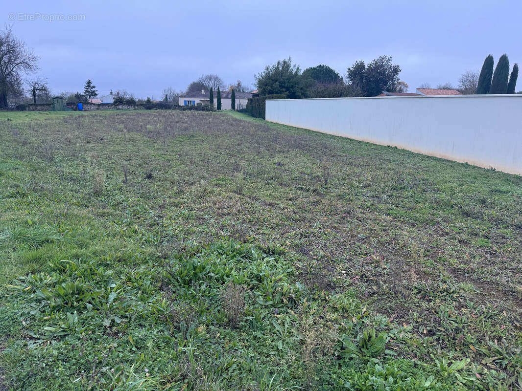 Terrain à SAINTE-HERMINE