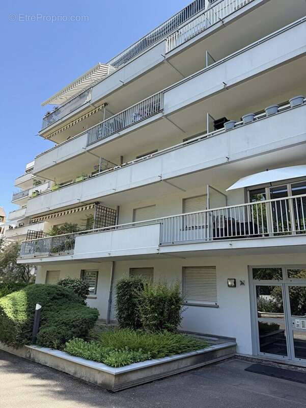 Local Professionnel  77M²  Libre - photo 3