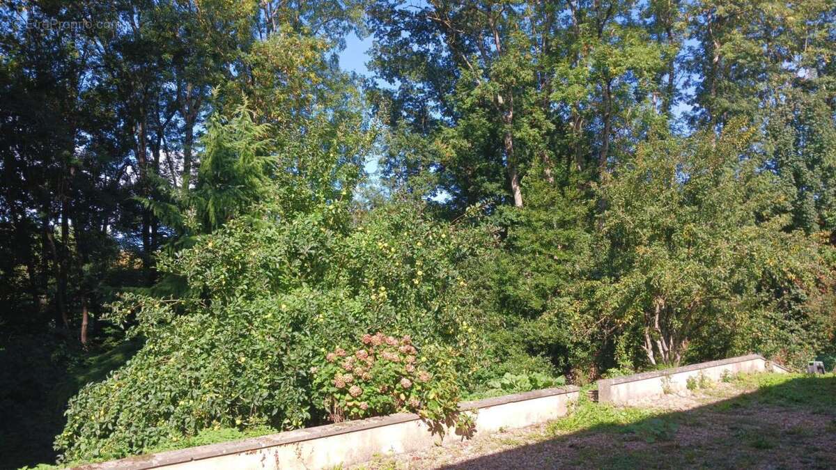 Maison à BELHOMERT-GUEHOUVILLE