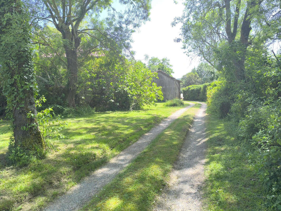 chemin accés privé - Maison à CONDOM