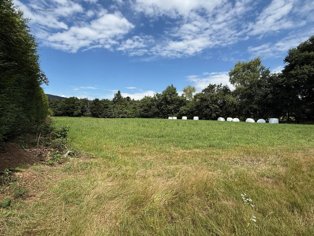 Terrain à SAINT-ETIENNE-LES-REMIREMONT