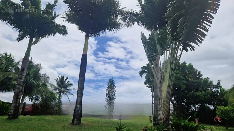 Maison à BAIE-MAHAULT