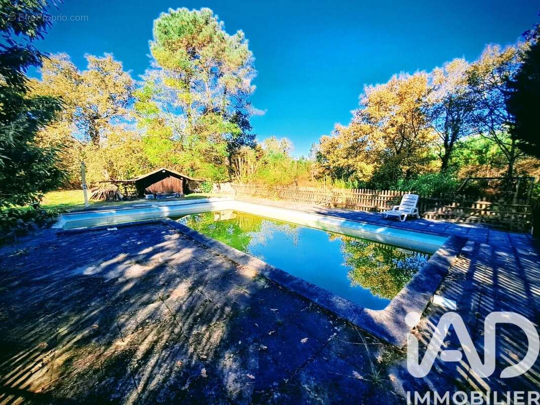 Photo 5 - Maison à SAUGNACQ-ET-MURET