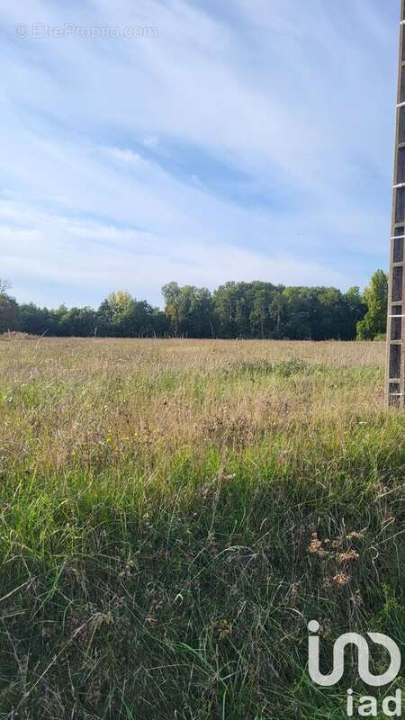 Photo 4 - Terrain à LA COUR-MARIGNY