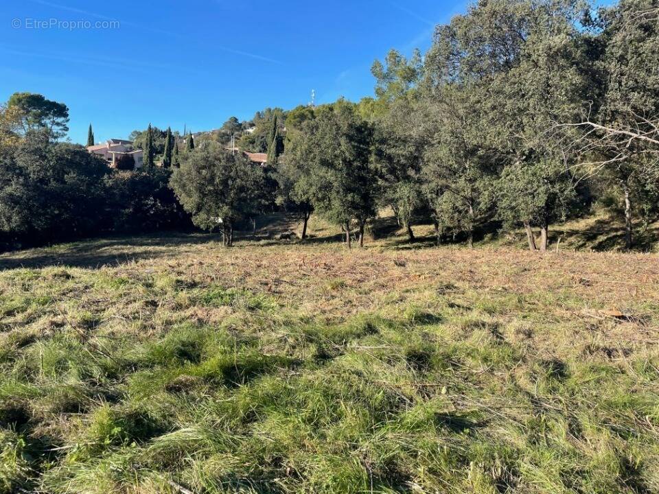 Terrain à TARADEAU