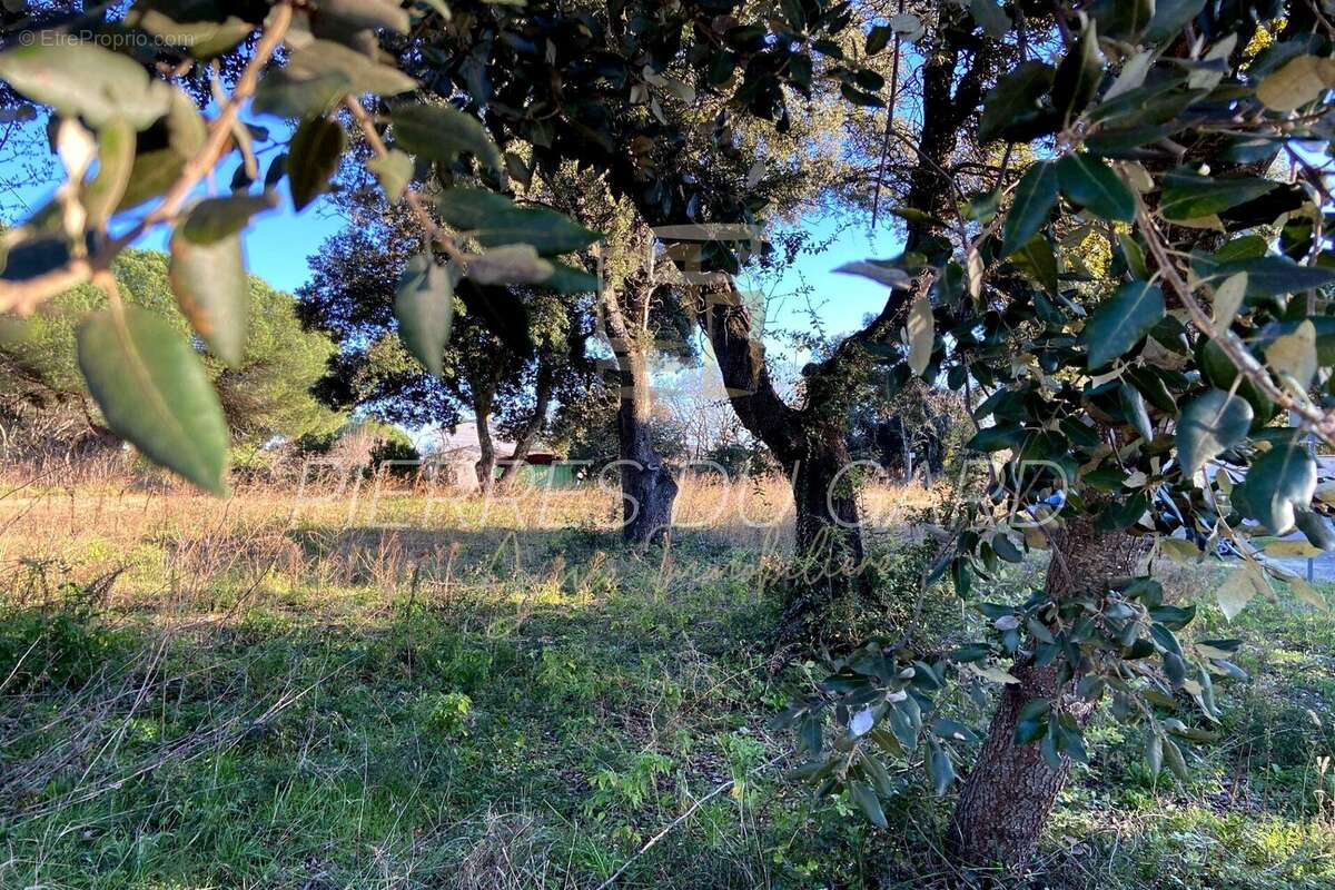 Terrain à SAINT-QUENTIN-LA-POTERIE