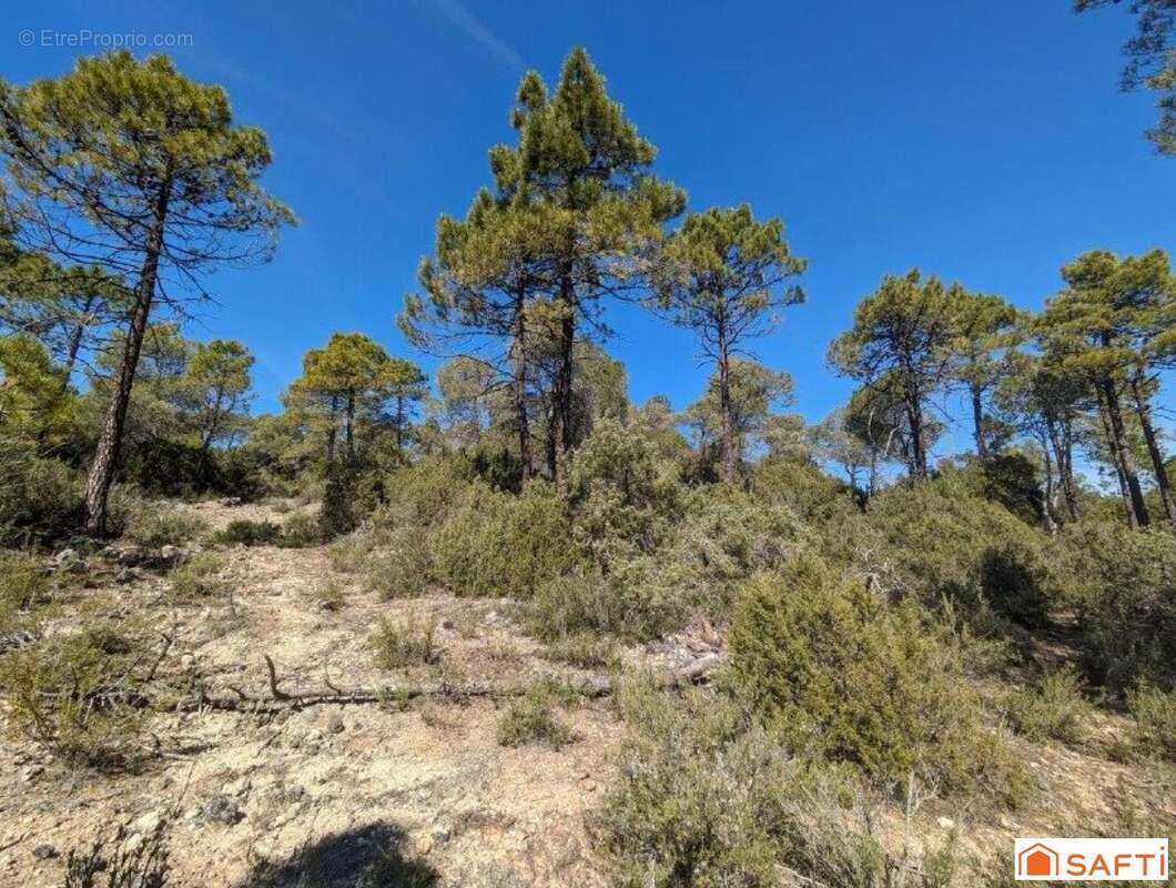 Photo 2 - Terrain à SILLANS-LA-CASCADE