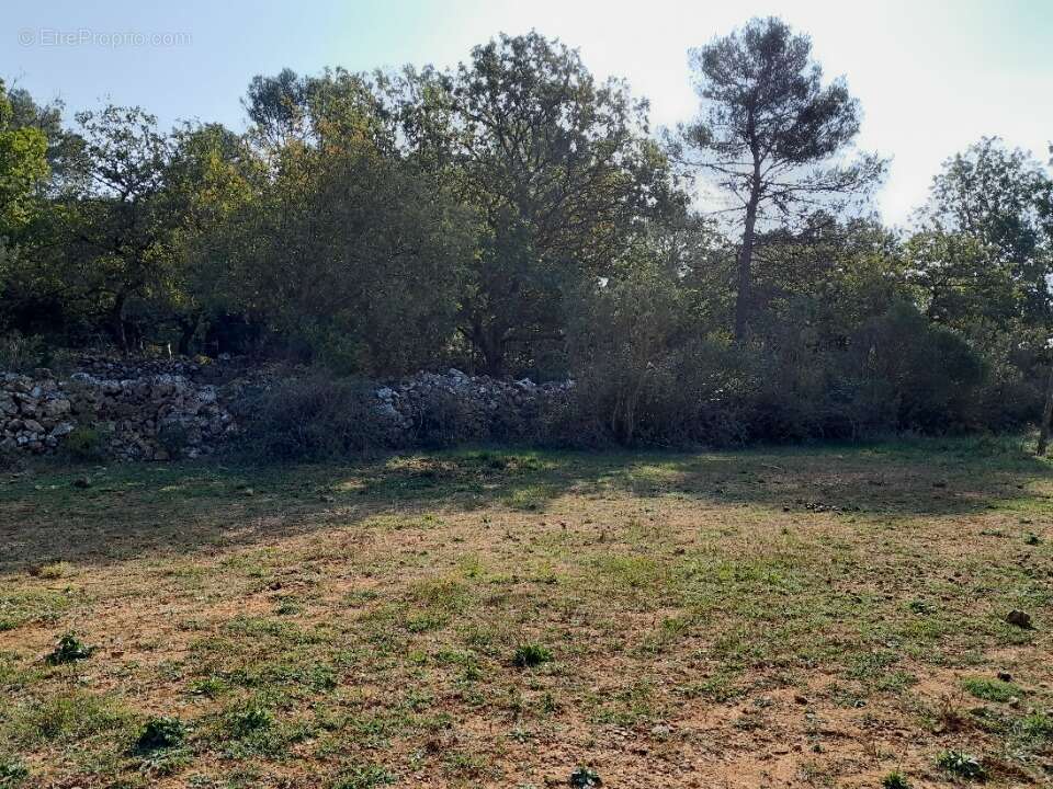Terrain 3100 m² à Saint-Maximin-La-Sainte-Baume  - photo 3
