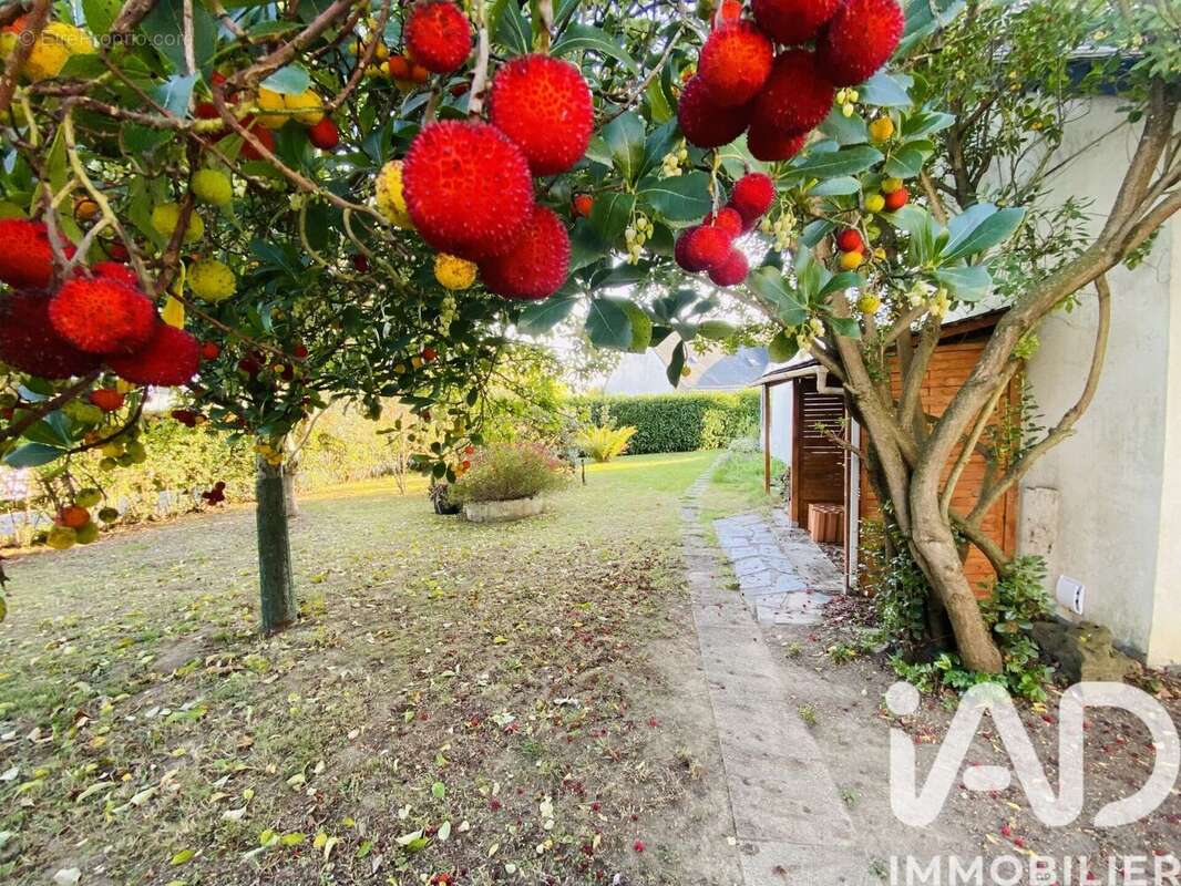 Photo 3 - Maison à SAINT-BARTHELEMY-D&#039;ANJOU