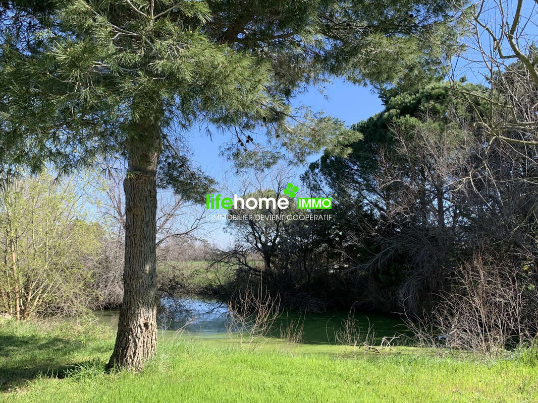 Maison à SAINTES-MARIES-DE-LA-MER