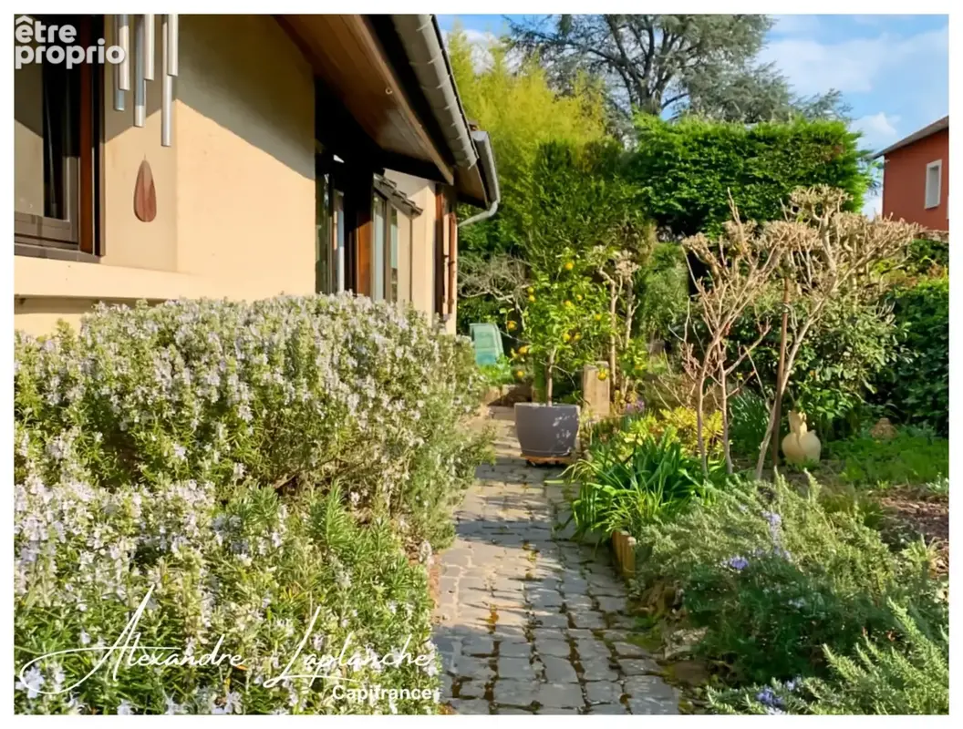 Dpt Tarn et Garonne (82), MONTAUBAN (82) – Quartier St Michel – Maison lumineuse de 175 m² avec jardin, véranda et garage - photo 32