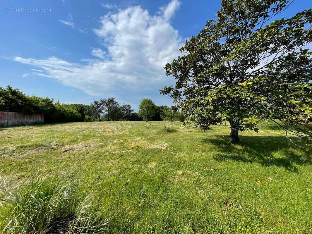 Maison à SAINT-MARTIN-D'ABBAT