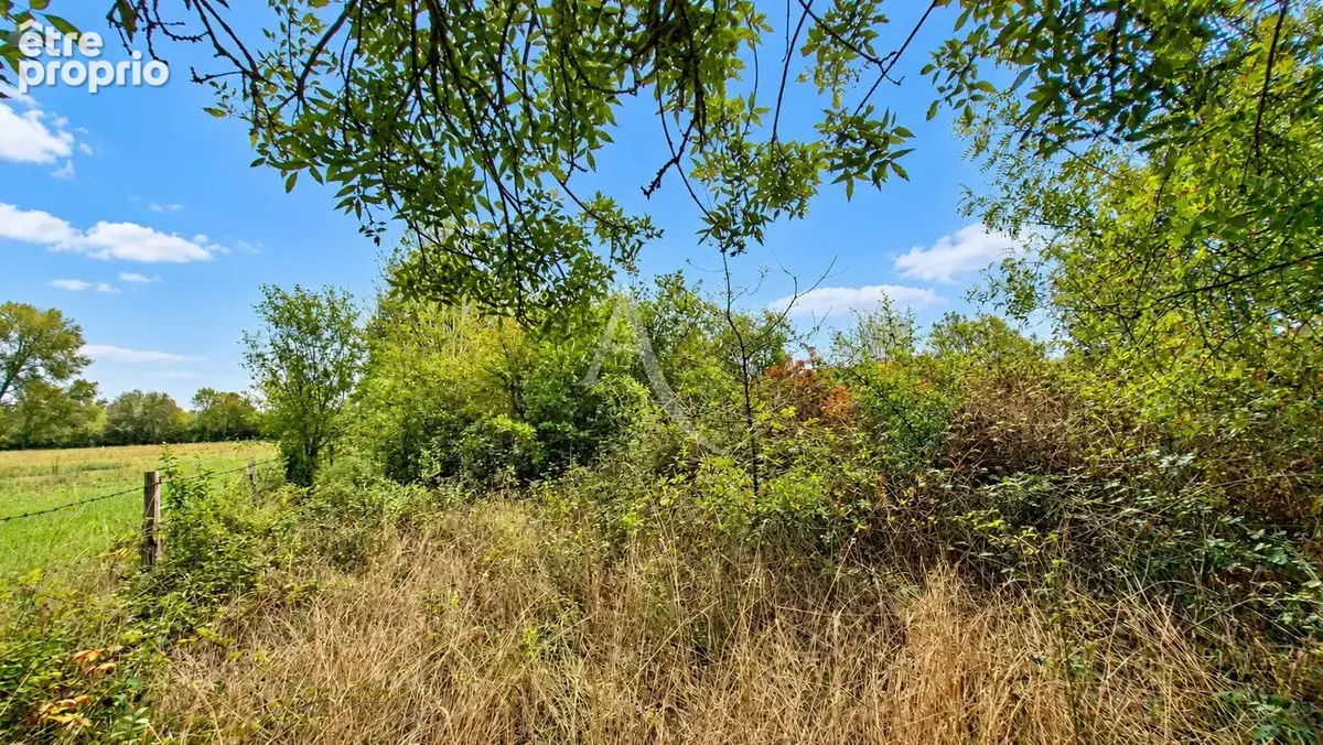 En exclusivité - Terrain Villevêque 4460 m2 - photo 2