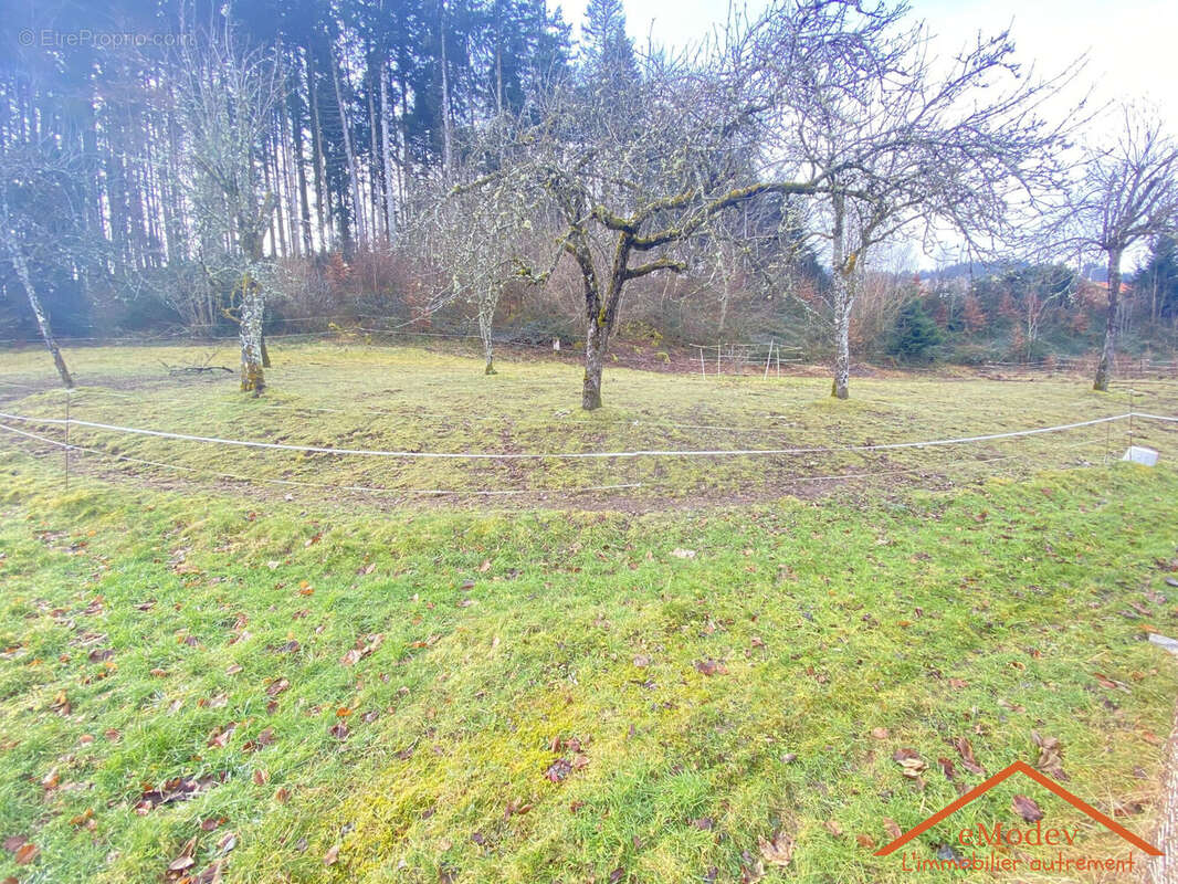 Maison à XONRUPT-LONGEMER