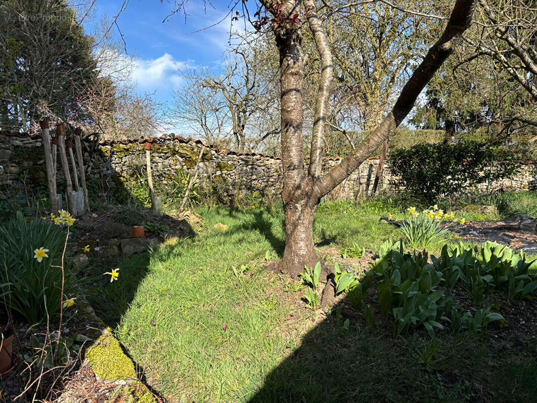Maison à CHARROUX