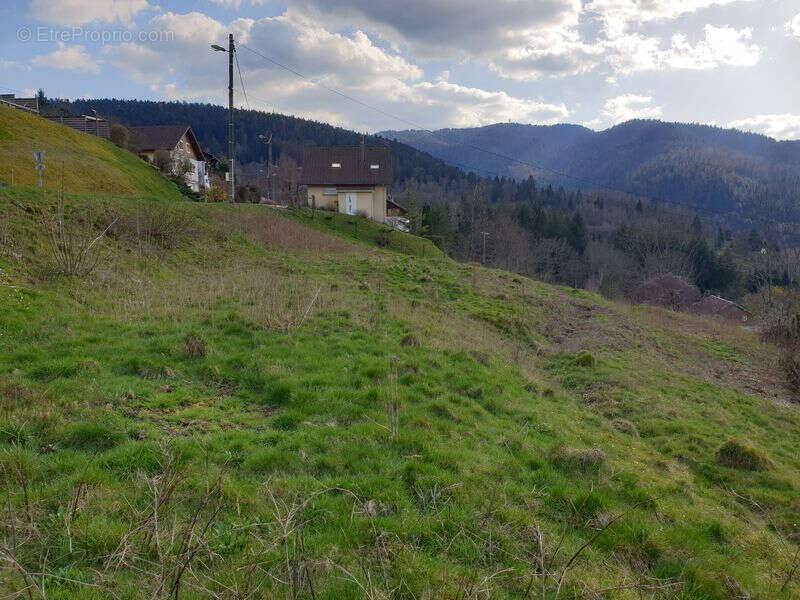 Terrain à SAINT-MAURICE-SUR-MOSELLE