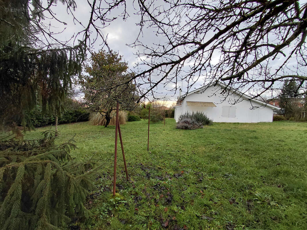 Maison à LATRESNE