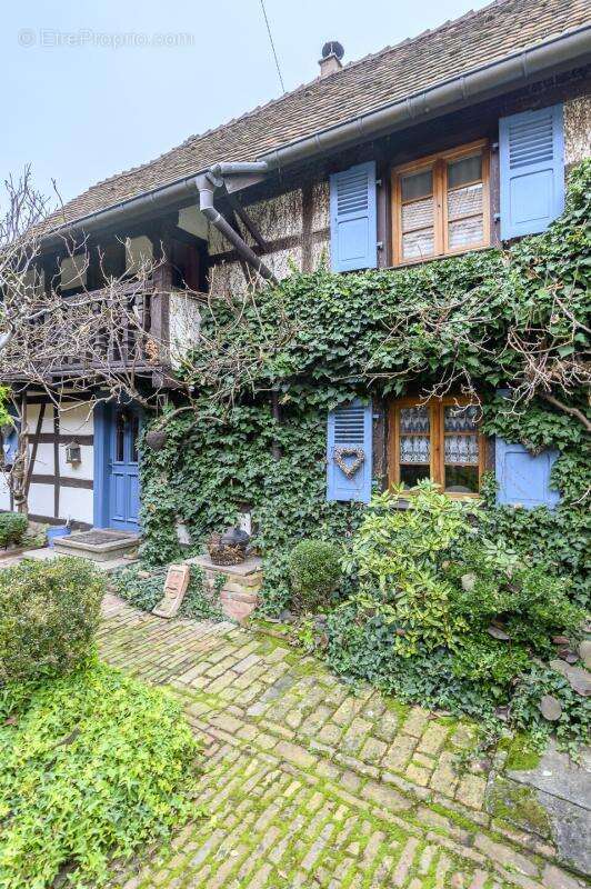 Maisons de charme, Jardin avec gîte maison d'hôtes fort potentiel - photo 14
