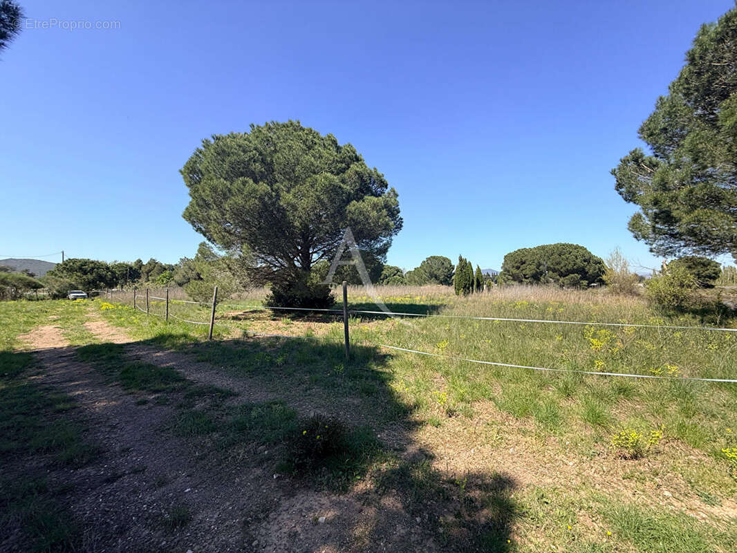 Terrain à CASTELNOU