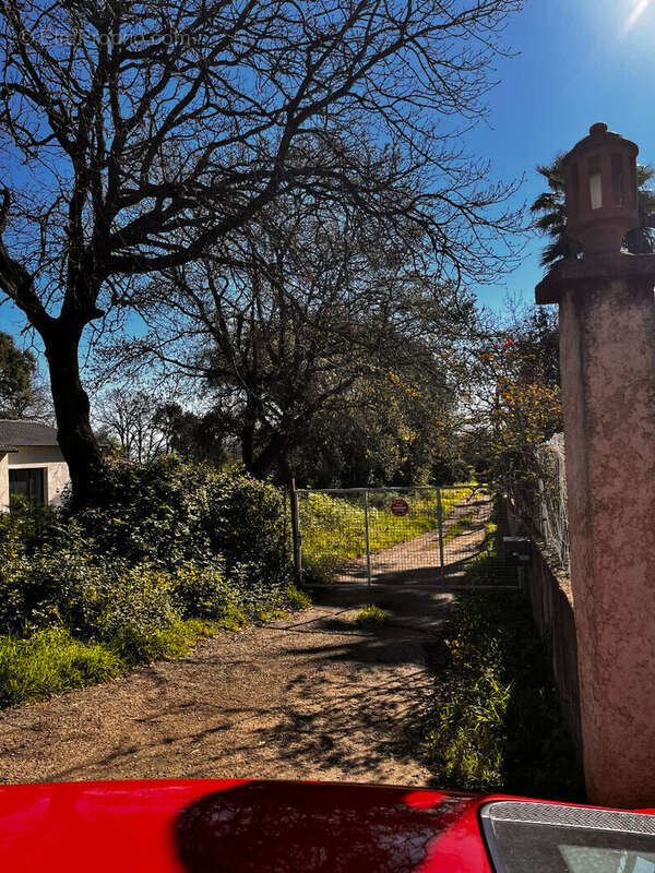 Terrain à POGGIO-MEZZANA