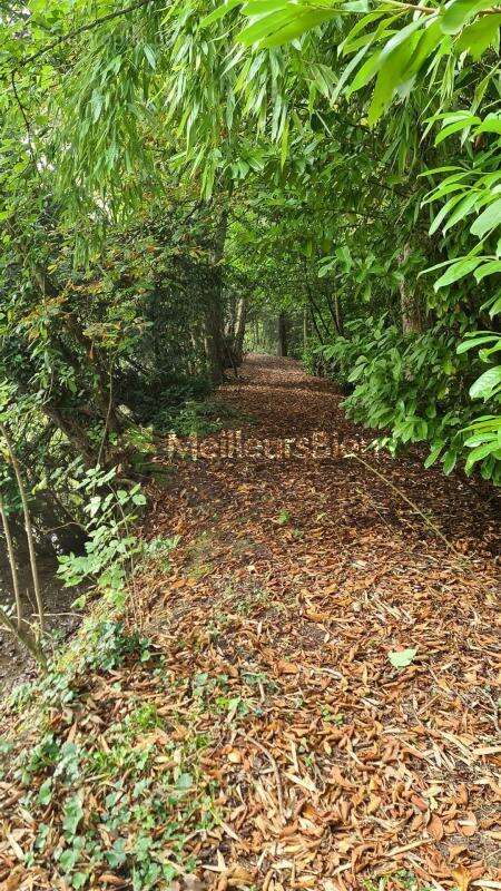 Terrain à MEZIDON-CANON