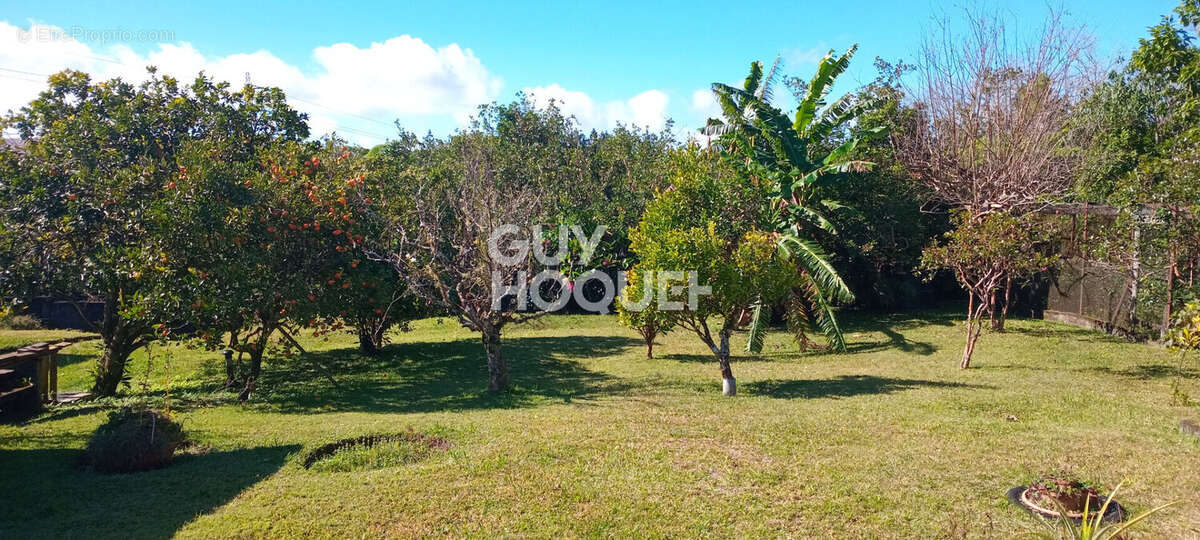 Maison à LA PLAINE-DES-PALMISTES