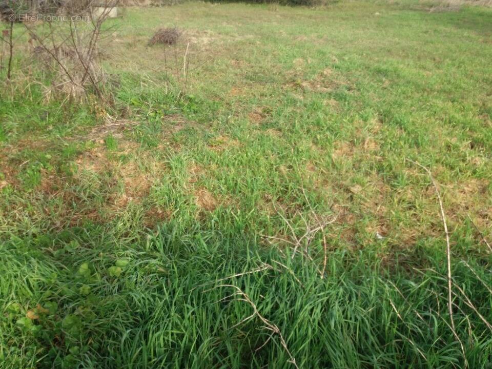 Terrain à COLOMIERS