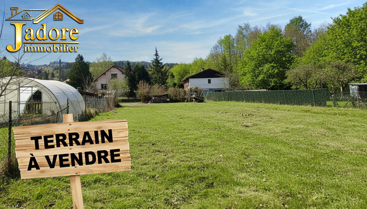 Terrain à COINCHES