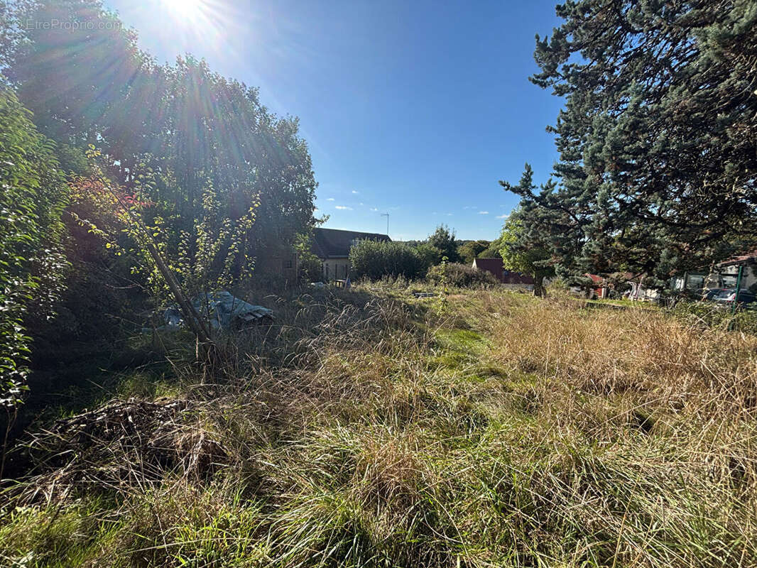 Terrain à SAINTE-GENEVIEVE