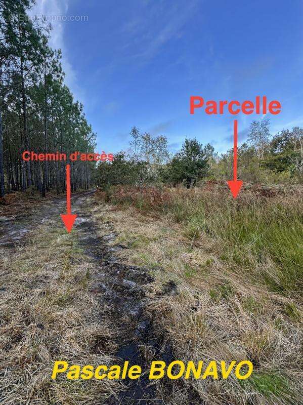 Terrain à VENDAYS-MONTALIVET