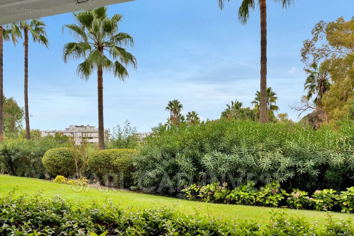 Appartement à VALLAURIS