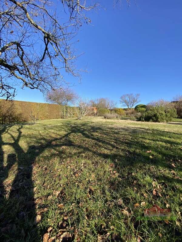 Serpaize - terrain a batir non viabilisé de 980m² - photo 4