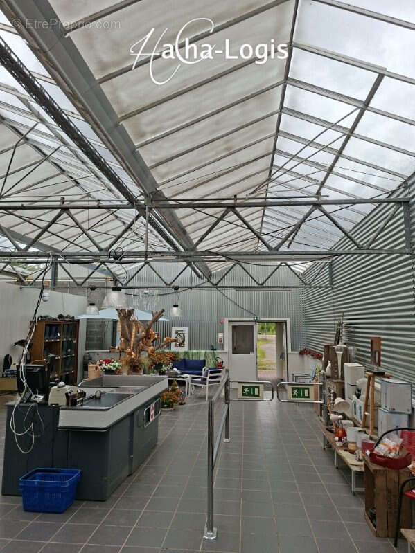 Local professionnel avec fort potentiel de développement - photo 3