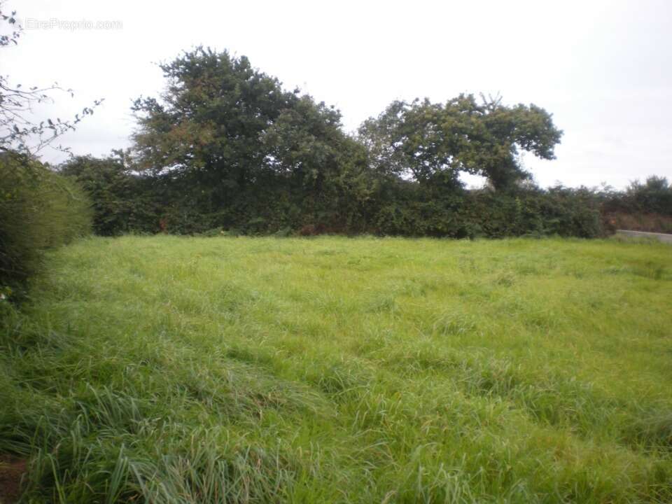 Terrain à CAVAILLON