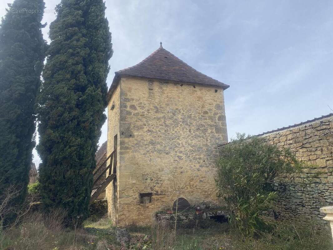 IMG6477 - Maison à BEYNAC-ET-CAZENAC