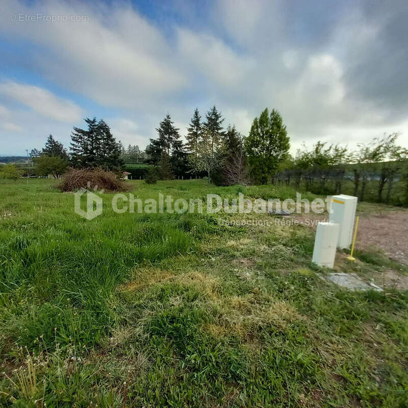 CORDELLE - Terrain de 1 012 m² - photo 3