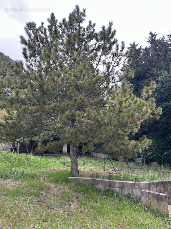 Maison à LA PENNE-SUR-HUVEAUNE
