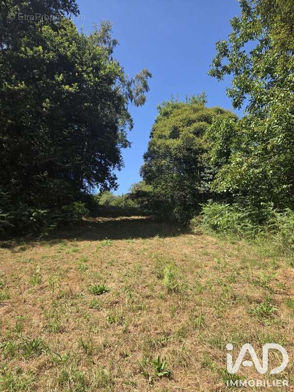 Terrain 3320 m² à Limerzel  - photo 2