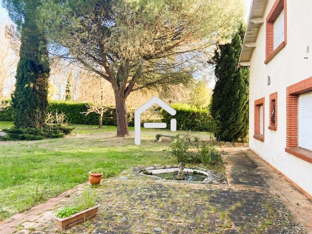 Terrain 542 m² à Montrabe  - photo 5
