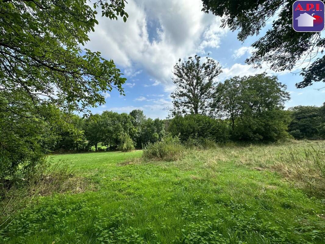 Terrain à LA BASTIDE-DE-SEROU