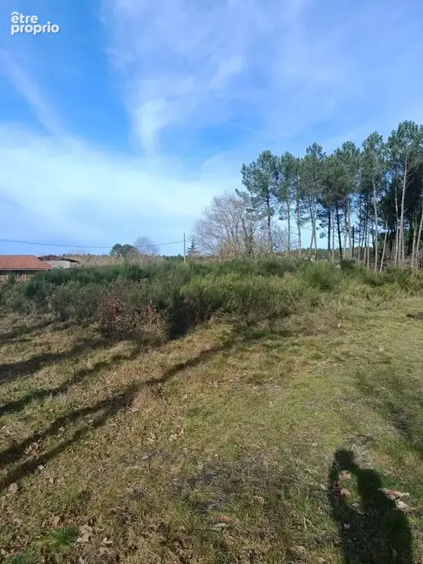 Terrain 1 796 m² à vendre à Lesperon (40260) - photo 3