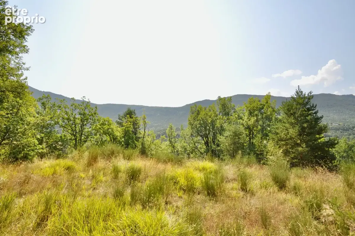 Dpt Alpes de Haute Provence (04), à vendre Proche ENTREVAUX Superbe terrain de plus d'un hectare avec vue montagnes - photo 7