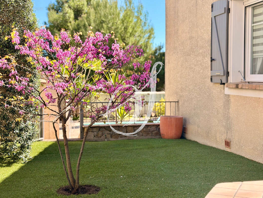 Maison à SAINT-GEORGES-D'ORQUES