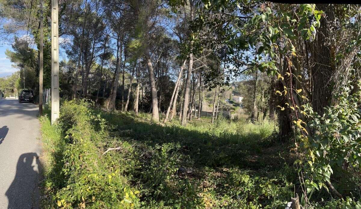 Terrain à MOUGINS