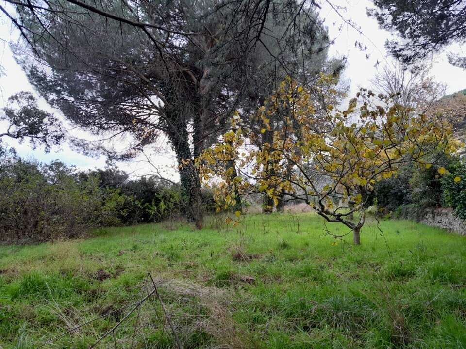 Terrain à LA GARDE-FREINET