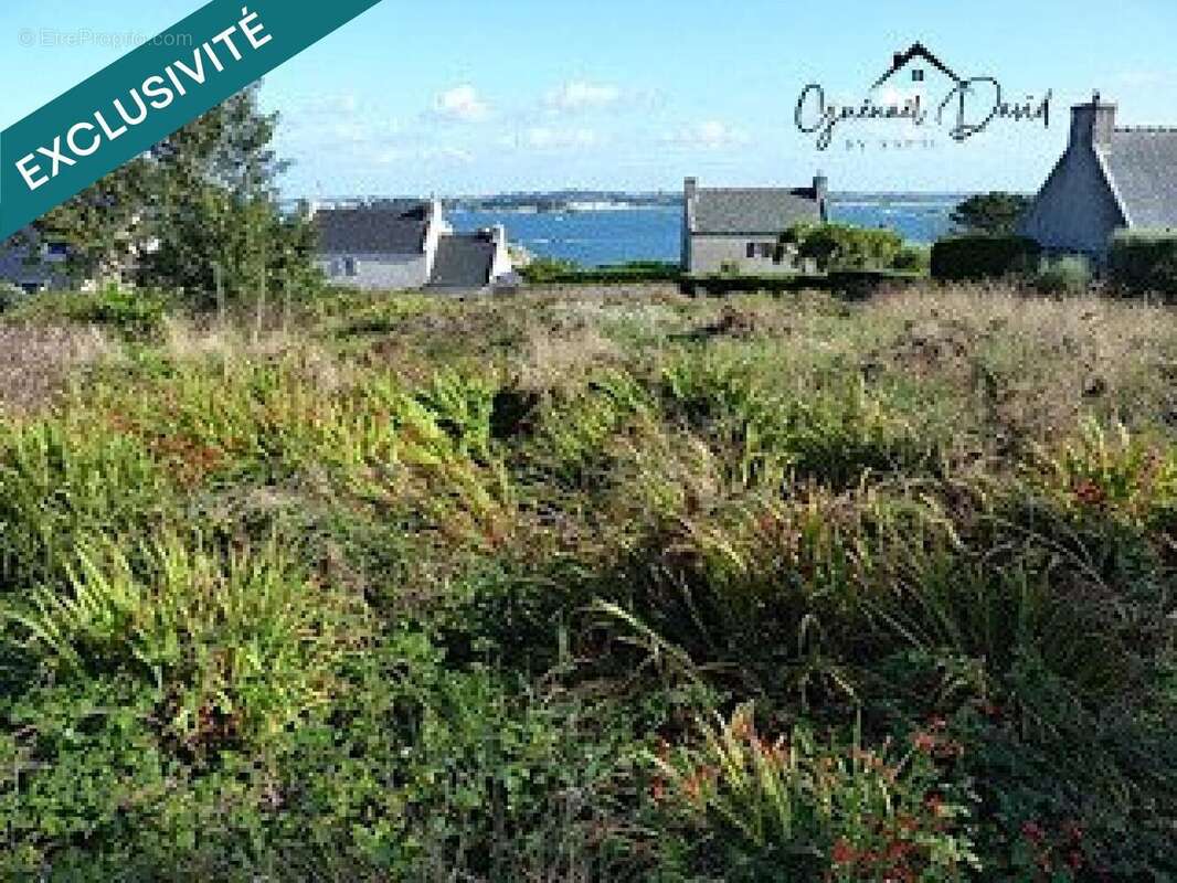 Photo 3 - Terrain à ILE-DE-BATZ