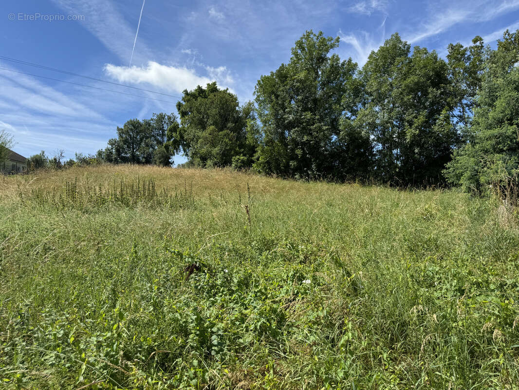 Terrain à VARETZ