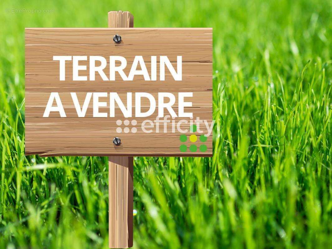 Terrain à LA MOTHE-ACHARD