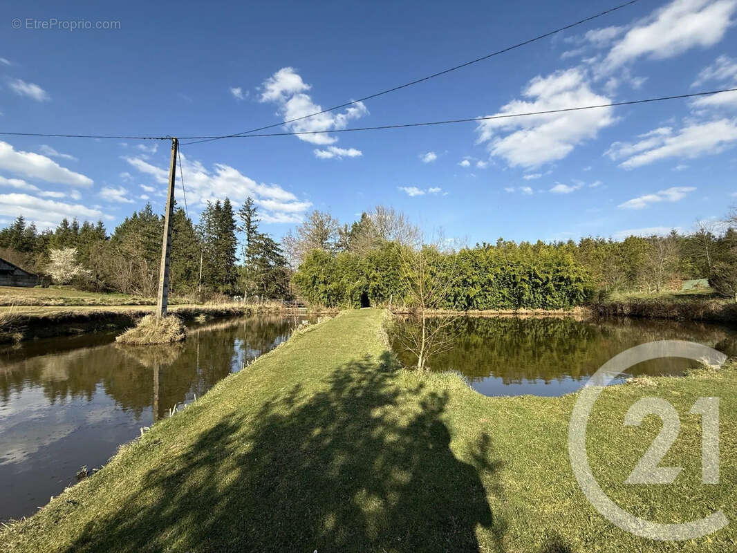 Maison à VILLENEUVE-SUR-ALLIER